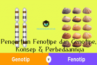 Pengertian Fenotipe dan Genotipe, Konsep & Perbedaannya