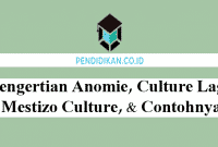 Pengertian Anomie, Culture Lag, Mestizo Culture, dan Contohnya