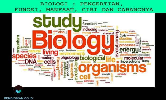 Biologi : Pengertian, Fungsi, Manfaat, Ciri Dan Cabangnya
