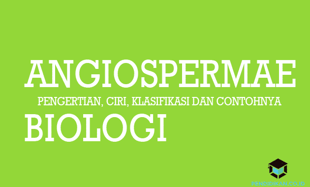 Pengertian Angiospermae, Ciri, Klasifikasi dan Contohnya