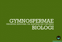 Pengertian Gymnospermae, Reproduksi, Ciri, Klasifikasi dan Contohnya