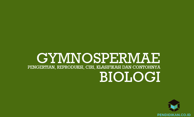 Pengertian Gymnospermae, Reproduksi, Ciri, Klasifikasi dan Contohnya
