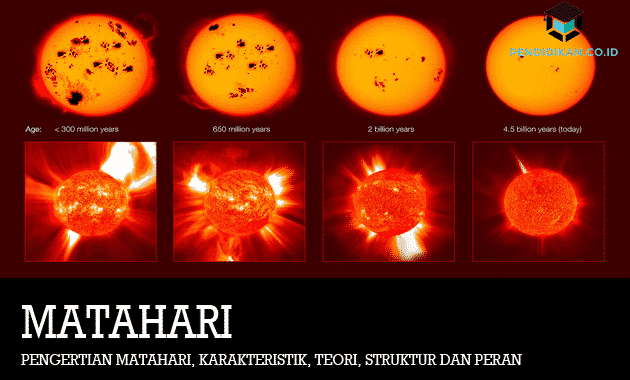 Pengertian Matahari Karakteristik Teori Struktur Dan Peran