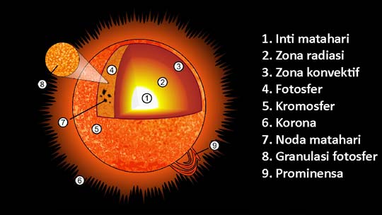 Pengertian Matahari Karakteristik Teori Struktur Dan Peran