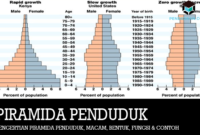pengertian-piramida-penduduk