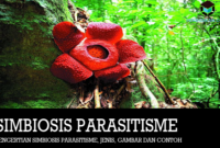 pengertian-simbiosis-parasitisme