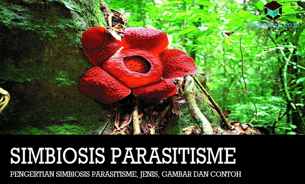 Landasan teori simbiosis parasitisme